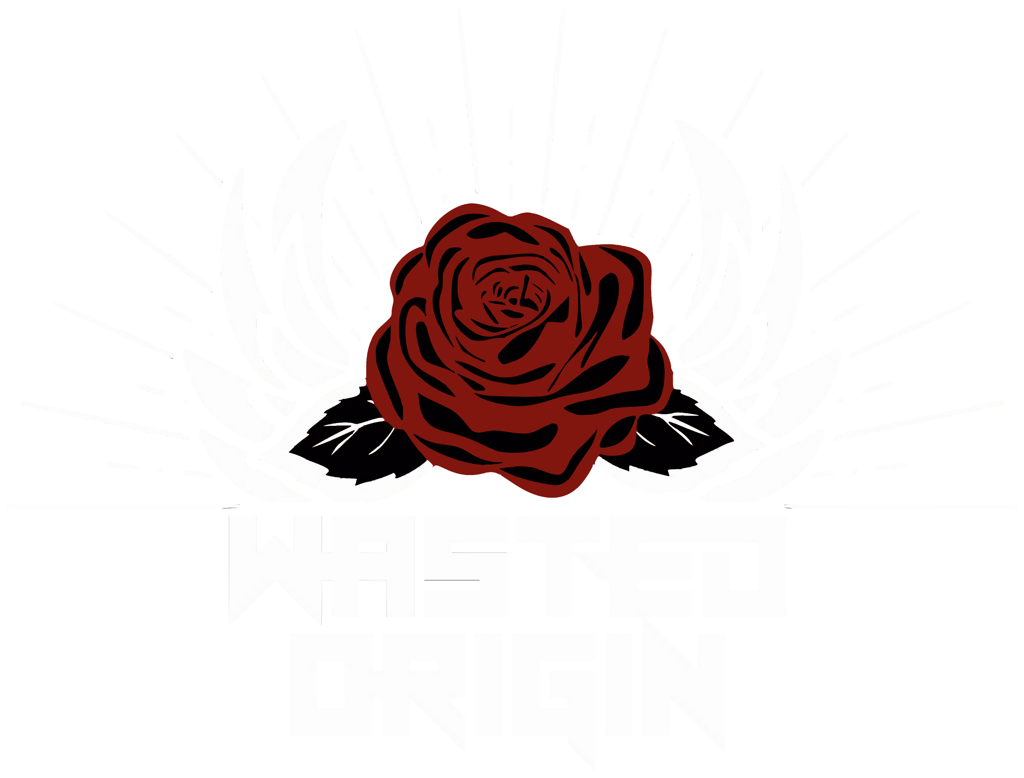 Wasted Origin